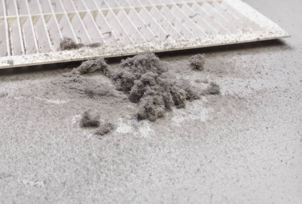 Best Professional Duct Cleaning Services  in Listoga, CA