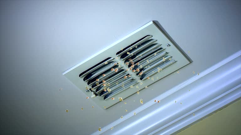 Best Local Air Duct Cleaning Services  in Listoga, CA